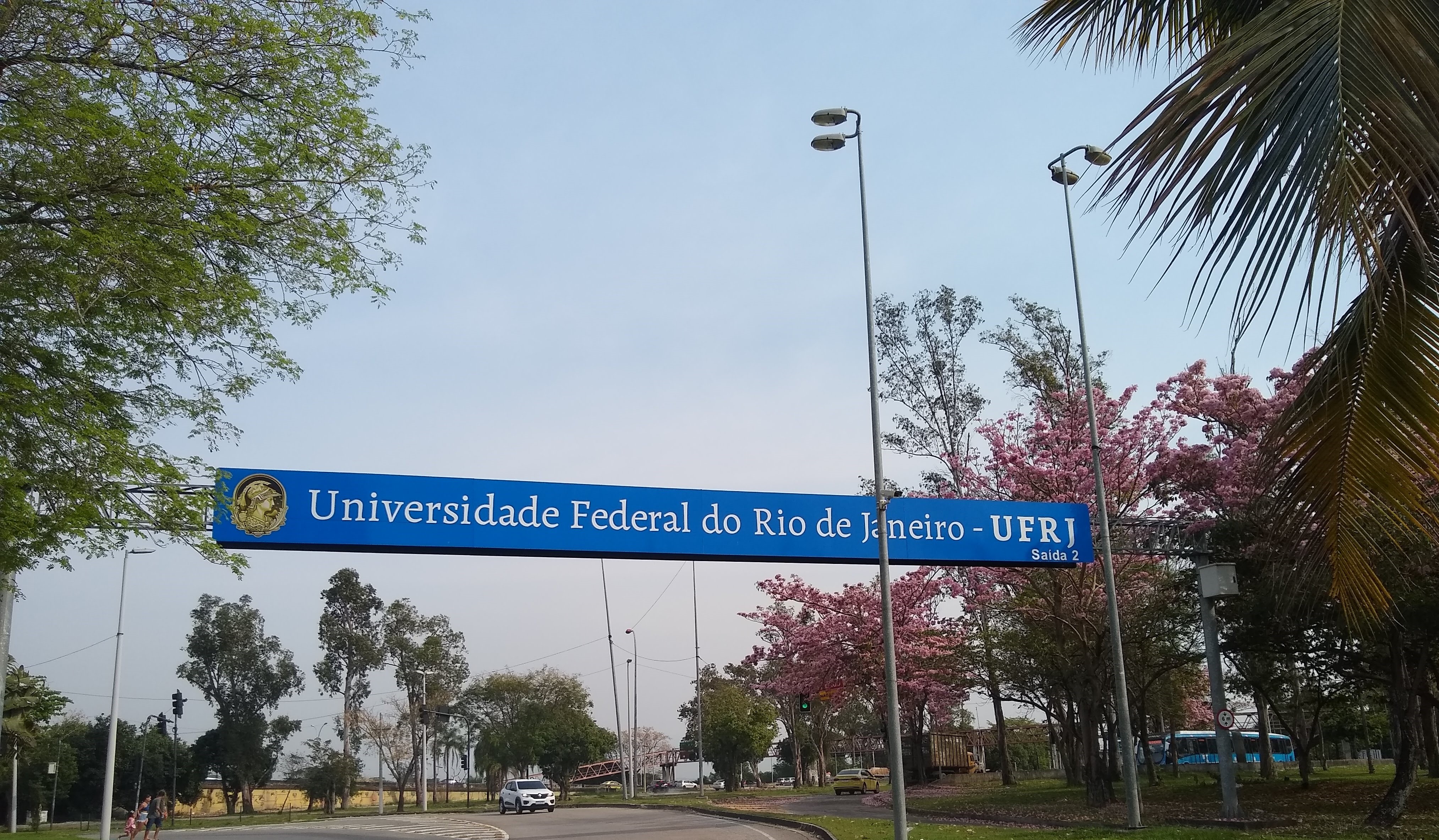 dia da arvore ufrj 2